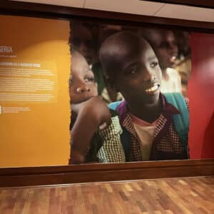 Luxury washable wallpaper in New York City