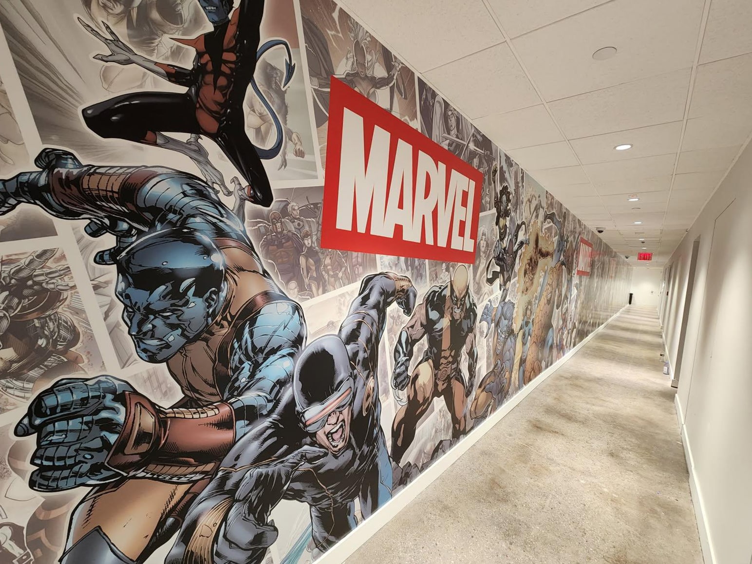 Vinyl wall mural NYC